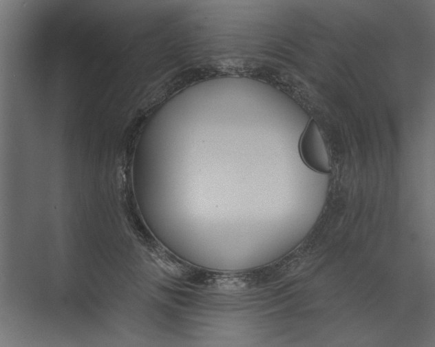 X0000073460702200608181305