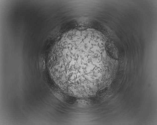 X0000073460703200608181305