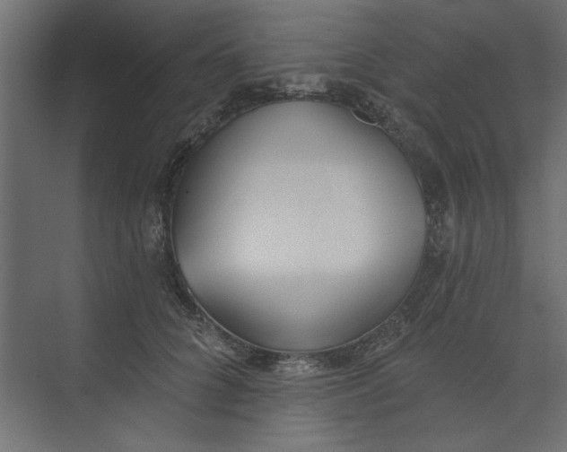 X0000073460704200608181305