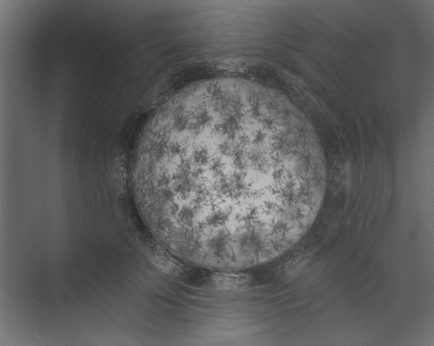 X0000073460707200608181305