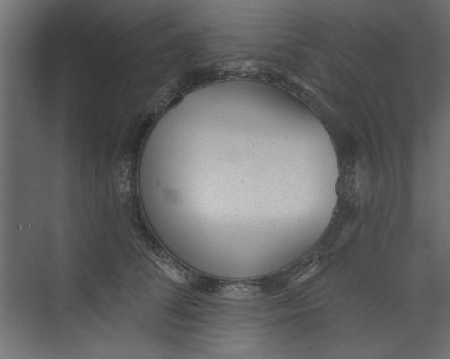 X0000073460708200608181305