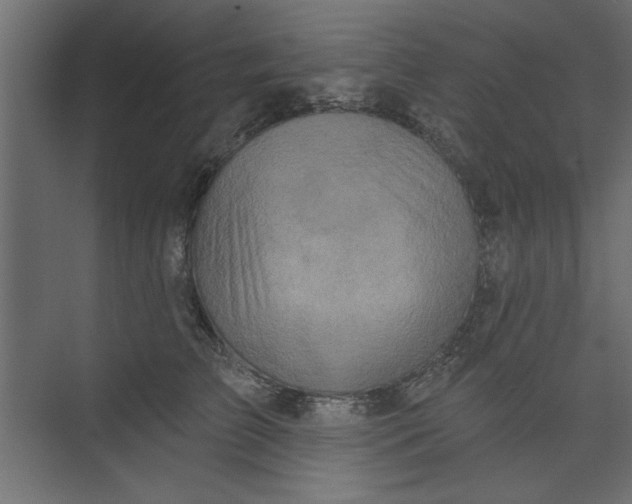 X0000073460709200608181305