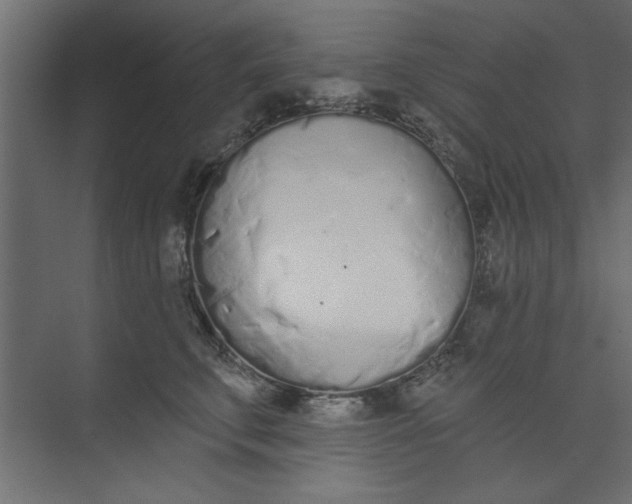 X0000073460711200608181305