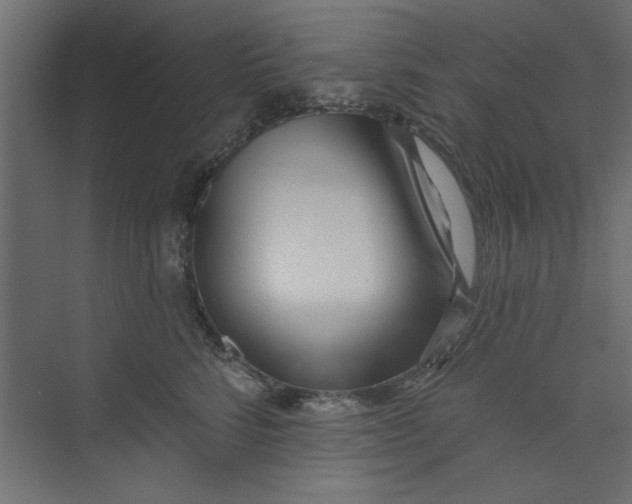 X0000073460712200608181305