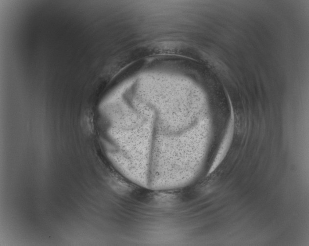 X0000073460718200608181305