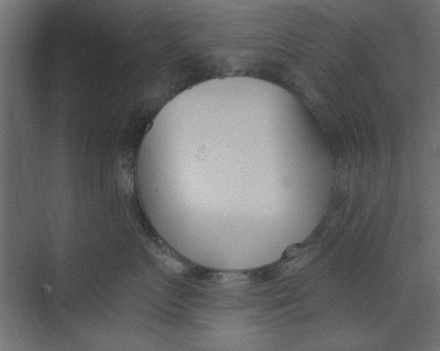 X0000073460719200608181305