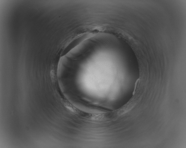 X0000073460720200608181305