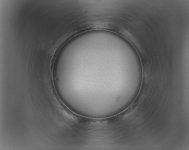 X0000073460721200608181304