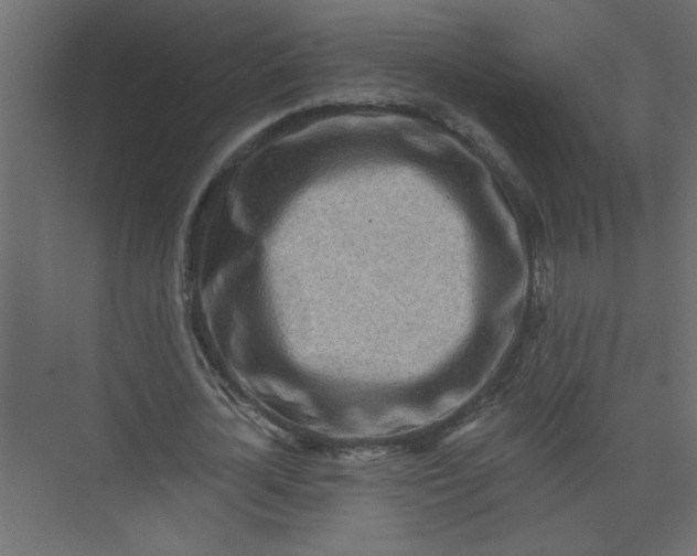 X0000073460724200608181304