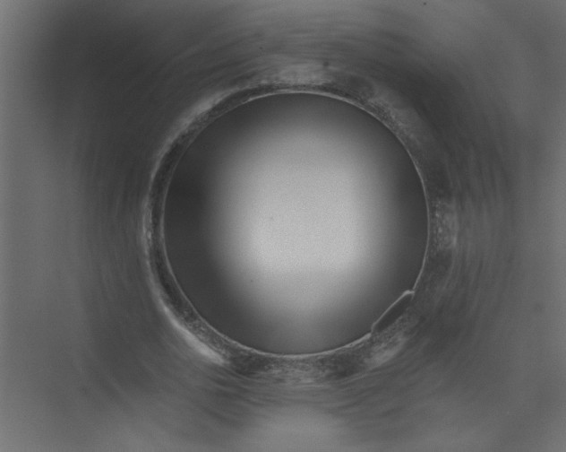 X0000073460726200608181304