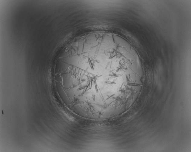 X0000073460729200608181304