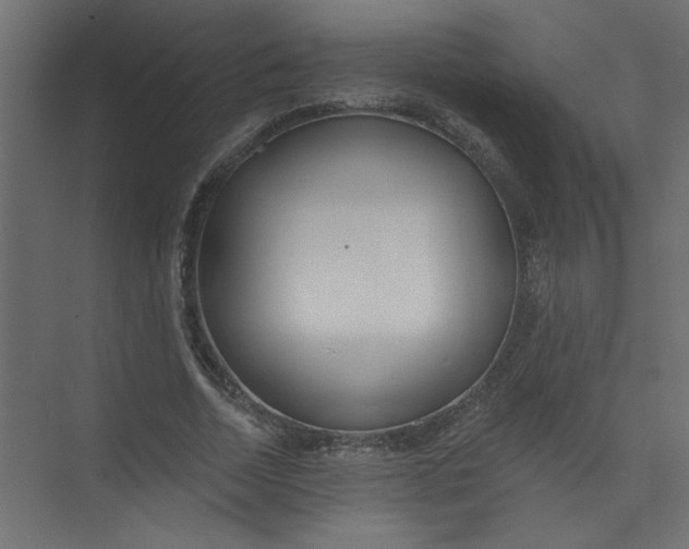 X0000073460730200608181304