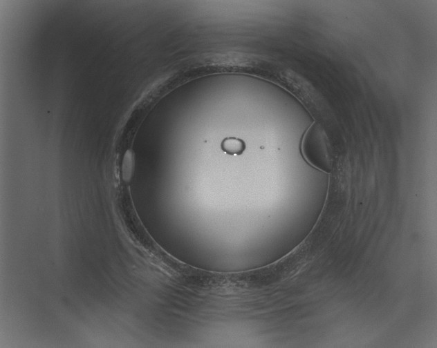 X0000073460731200608181304