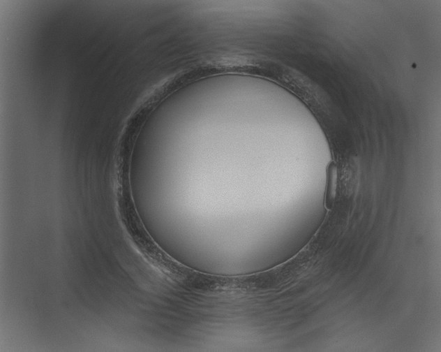 X0000073460732200608181304