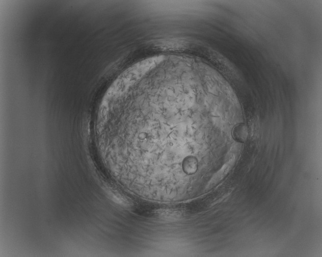 X0000073460733200608181304