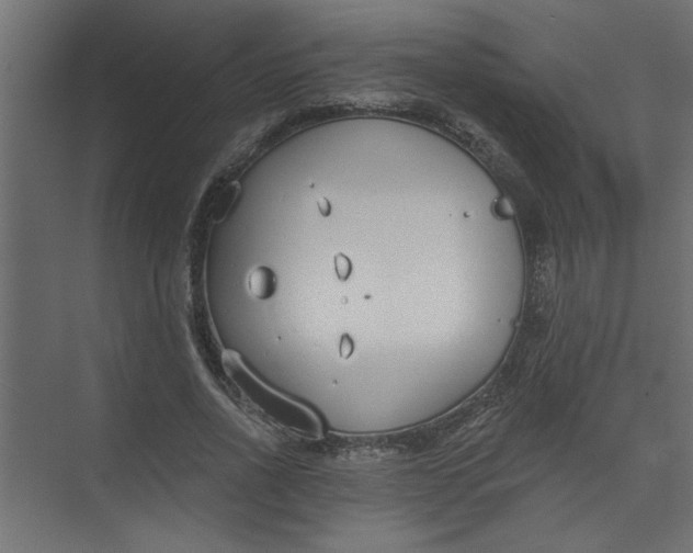 X0000073460734200608181304