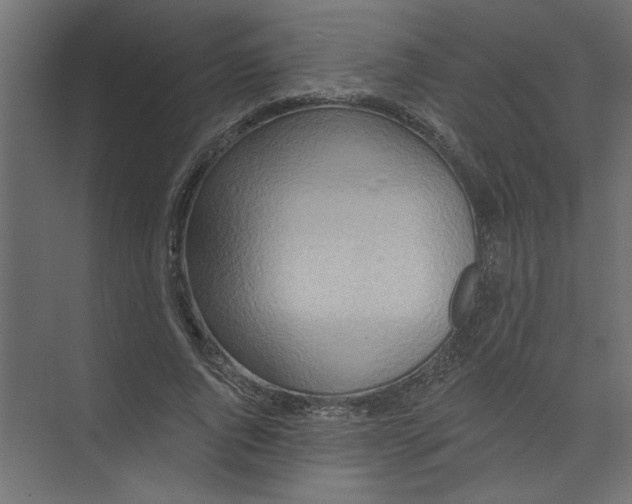 X0000073460736200608181304