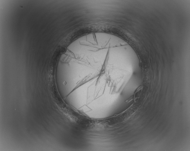 X0000073460737200608181304