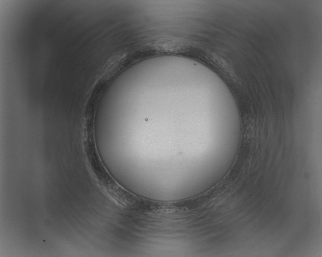 X0000073460738200608181304