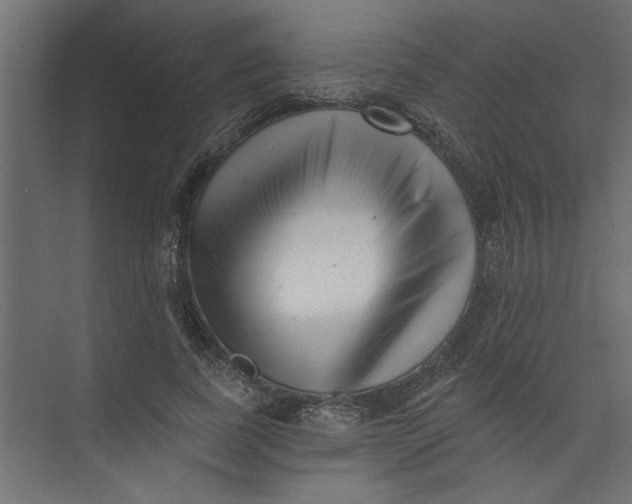 X0000073460739200608181304