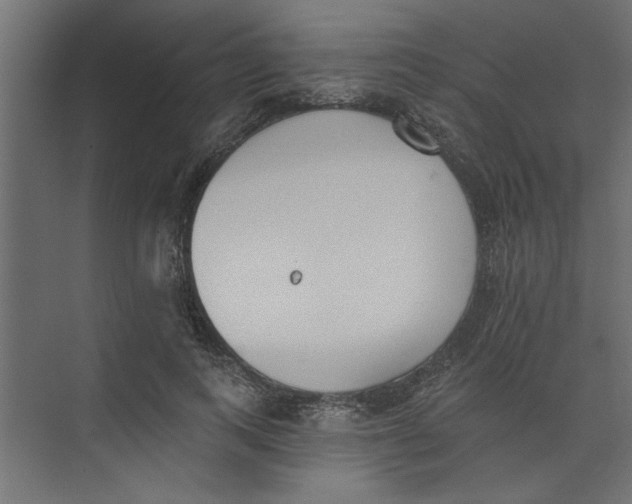 X0000073460743200608181305