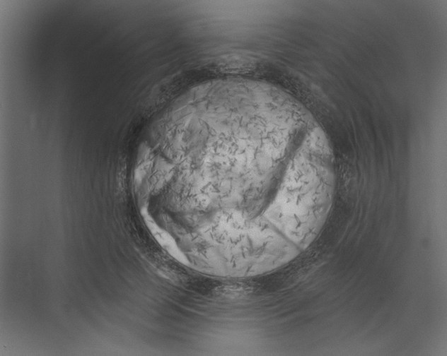 X0000073460745200608181305