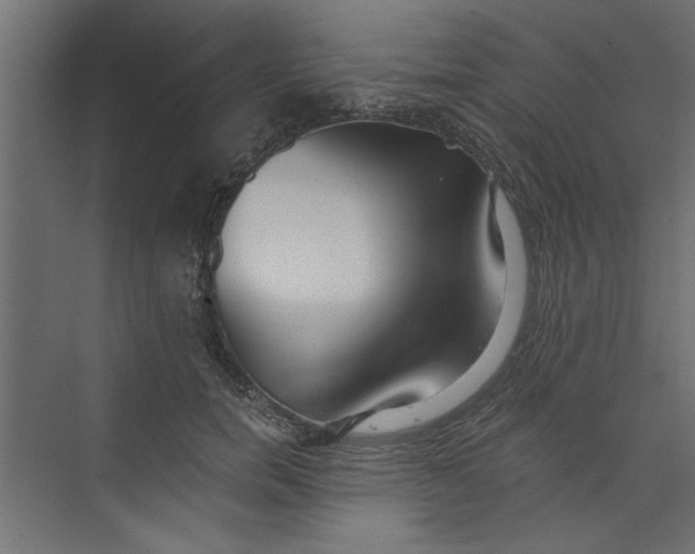 X0000073460750200608181305