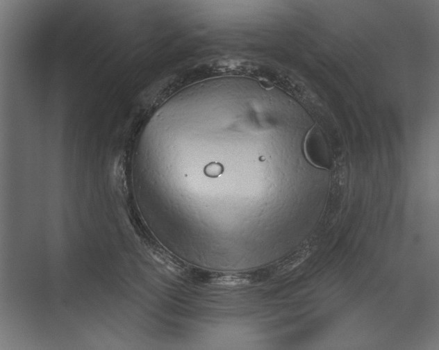 X0000073460754200608181305