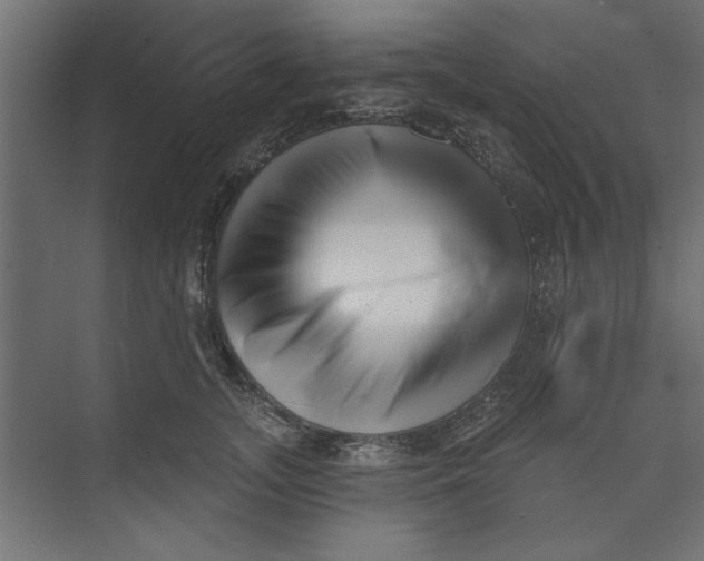 X0000073460755200608181305