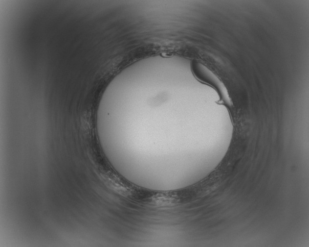 X0000073460756200608181305