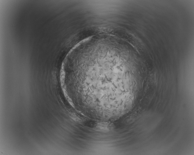 X0000073460757200608181305