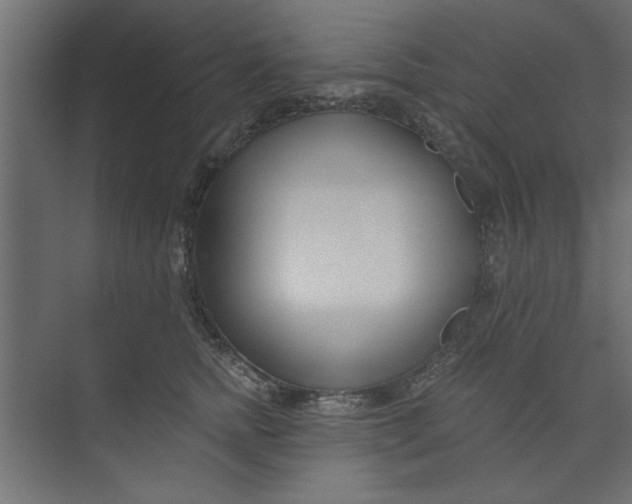 X0000073460758200608181305