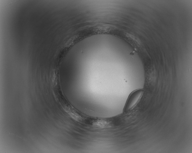 X0000073460759200608181305