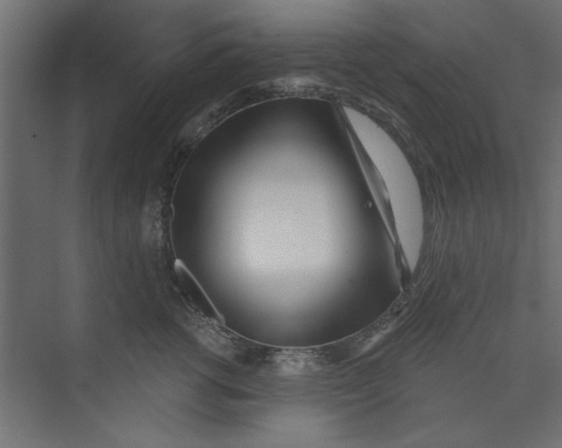 X0000073460762200608181305