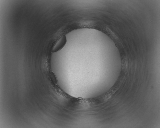 X0000073460764200608181305