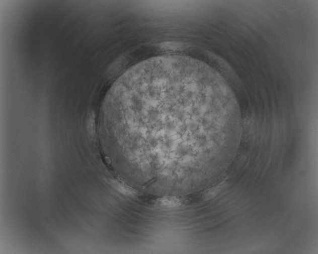 X0000073460765200608181305