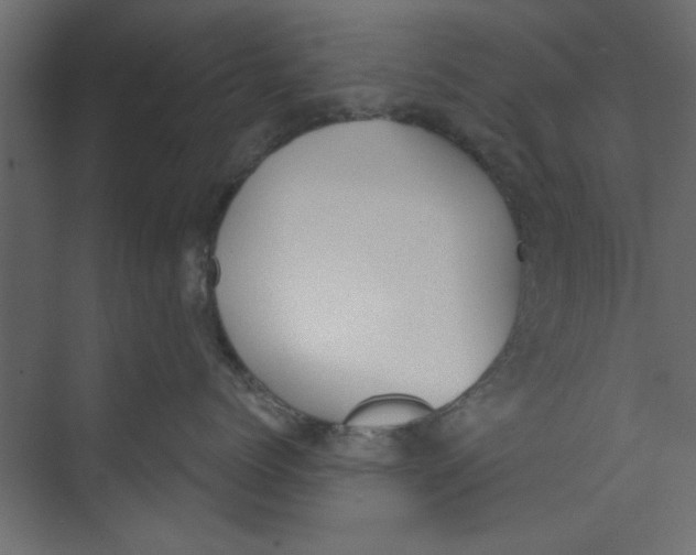 X0000073460768200608181305