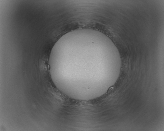 X0000073460770200608181304