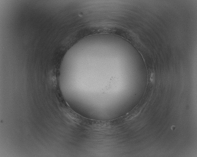 X0000073460771200608181304