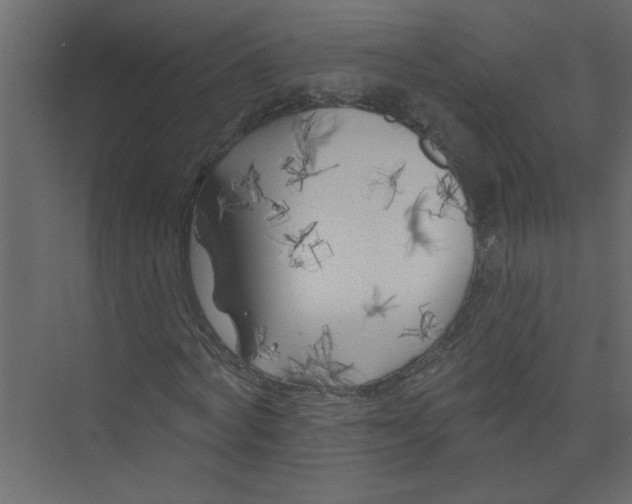 X0000073460772200608181304