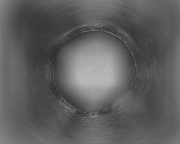 X0000073460773200608181304