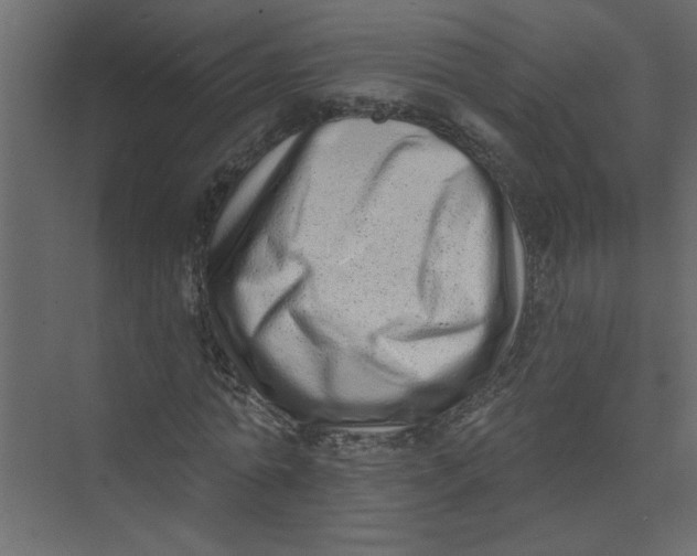 X0000073460774200608181304