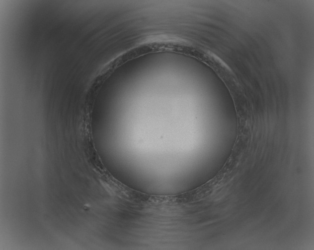 X0000073460775200608181304