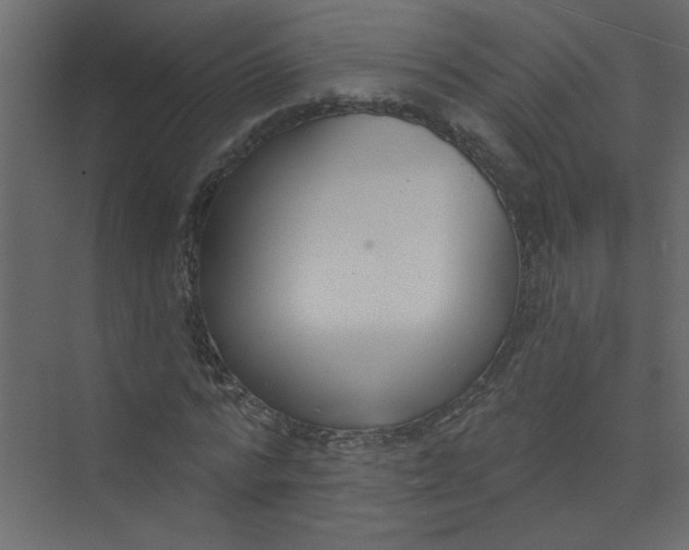 X0000073460776200608181304