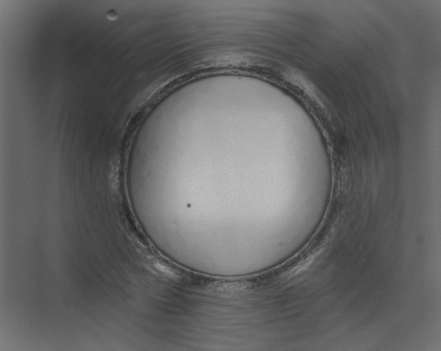 X0000073460778200608181304