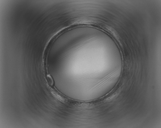 X0000073460779200608181304