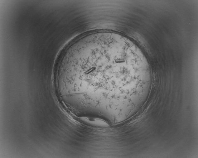 X0000073460780200608181304