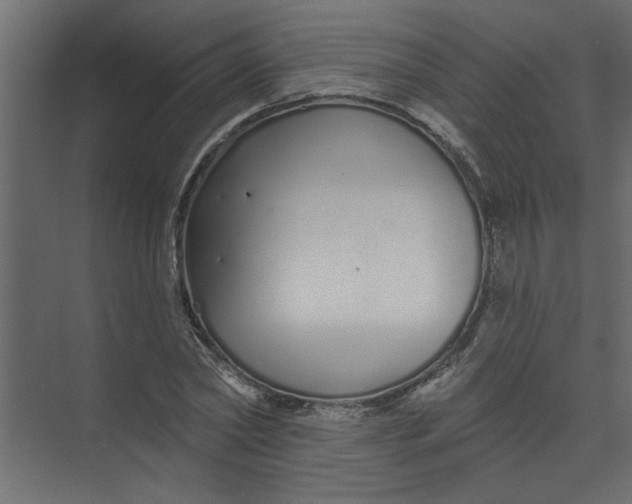 X0000073460782200608181304