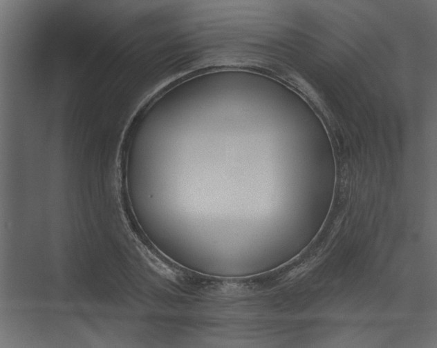 X0000073460787200608181304