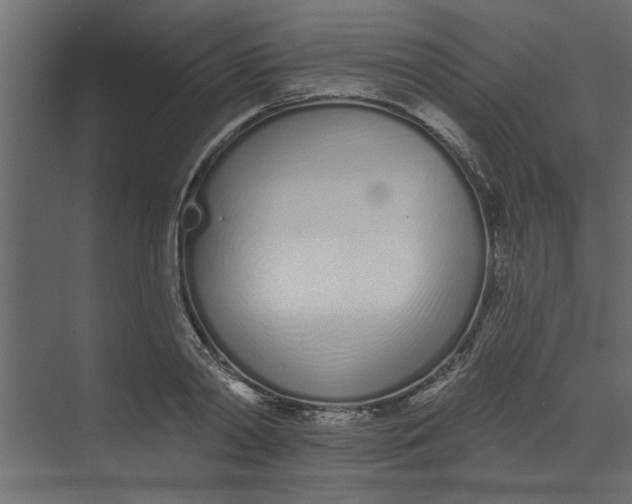 X0000073460790200608181304